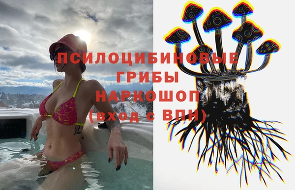 бошки Балахна
