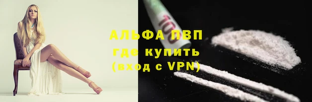 твердый Белокуриха