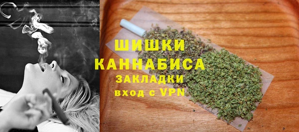 PSILOCYBIN Баксан