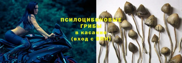 не бодяженный Беломорск
