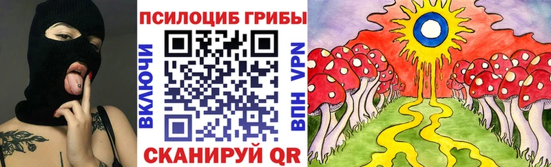 Псилоцибиновые грибы Magic Shrooms  сколько стоит  Новый Оскол 